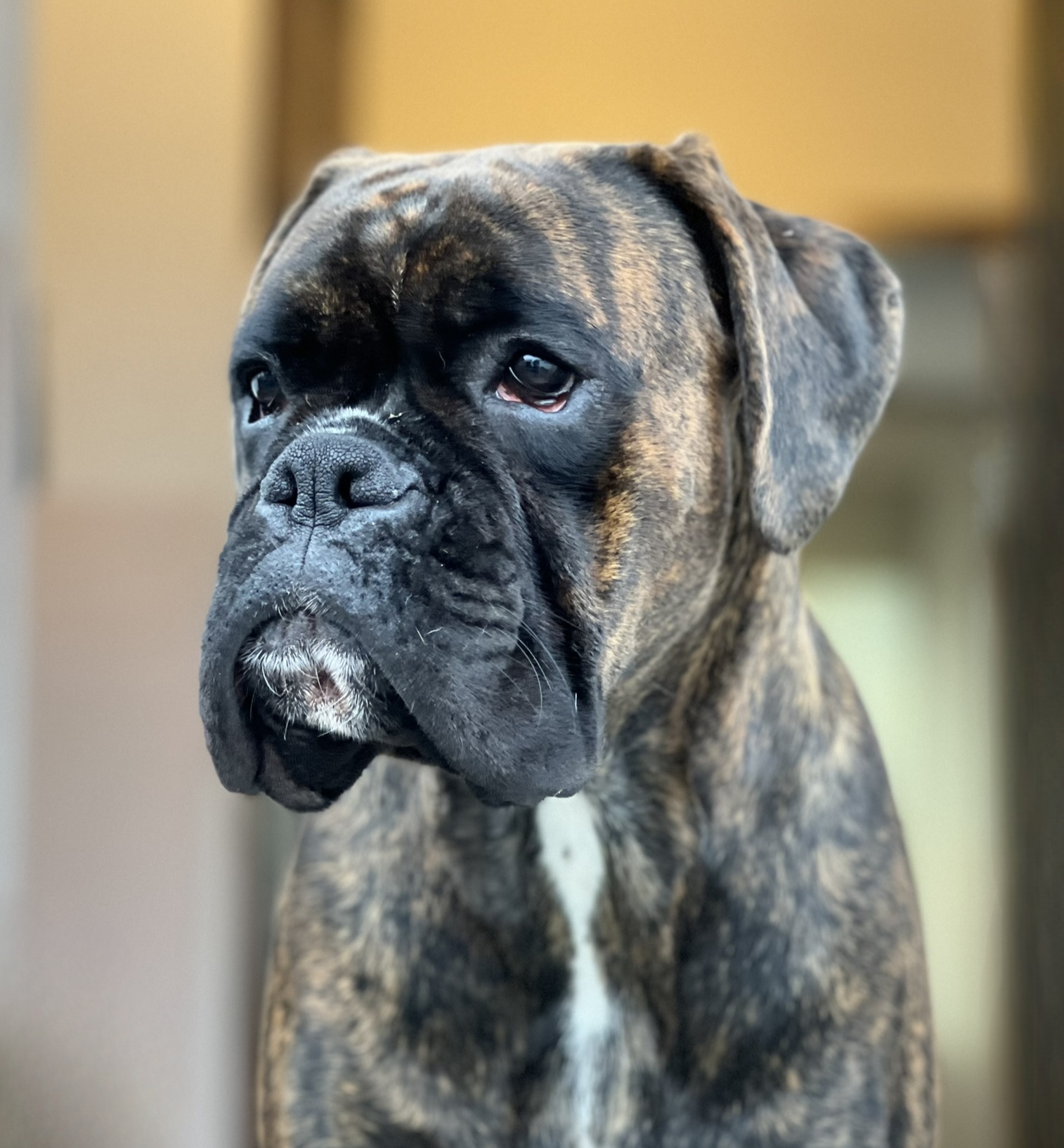 IMG_5914_inPixio (2)