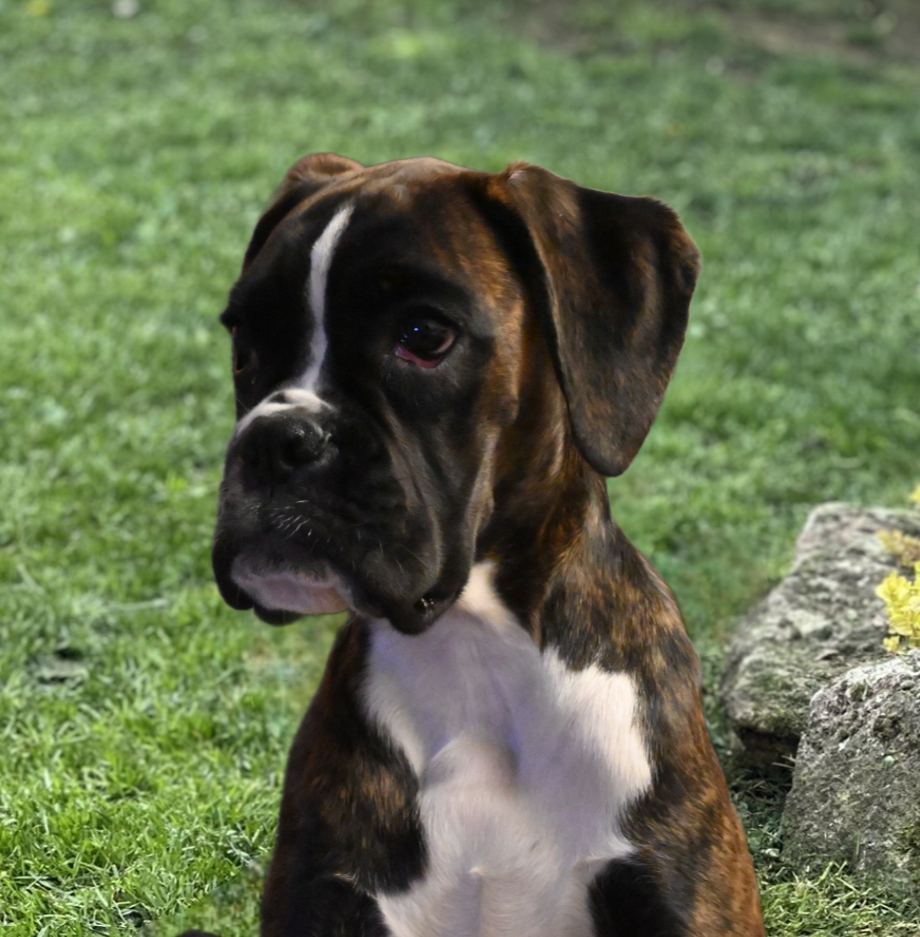 DSC_0045_inPixio (8)